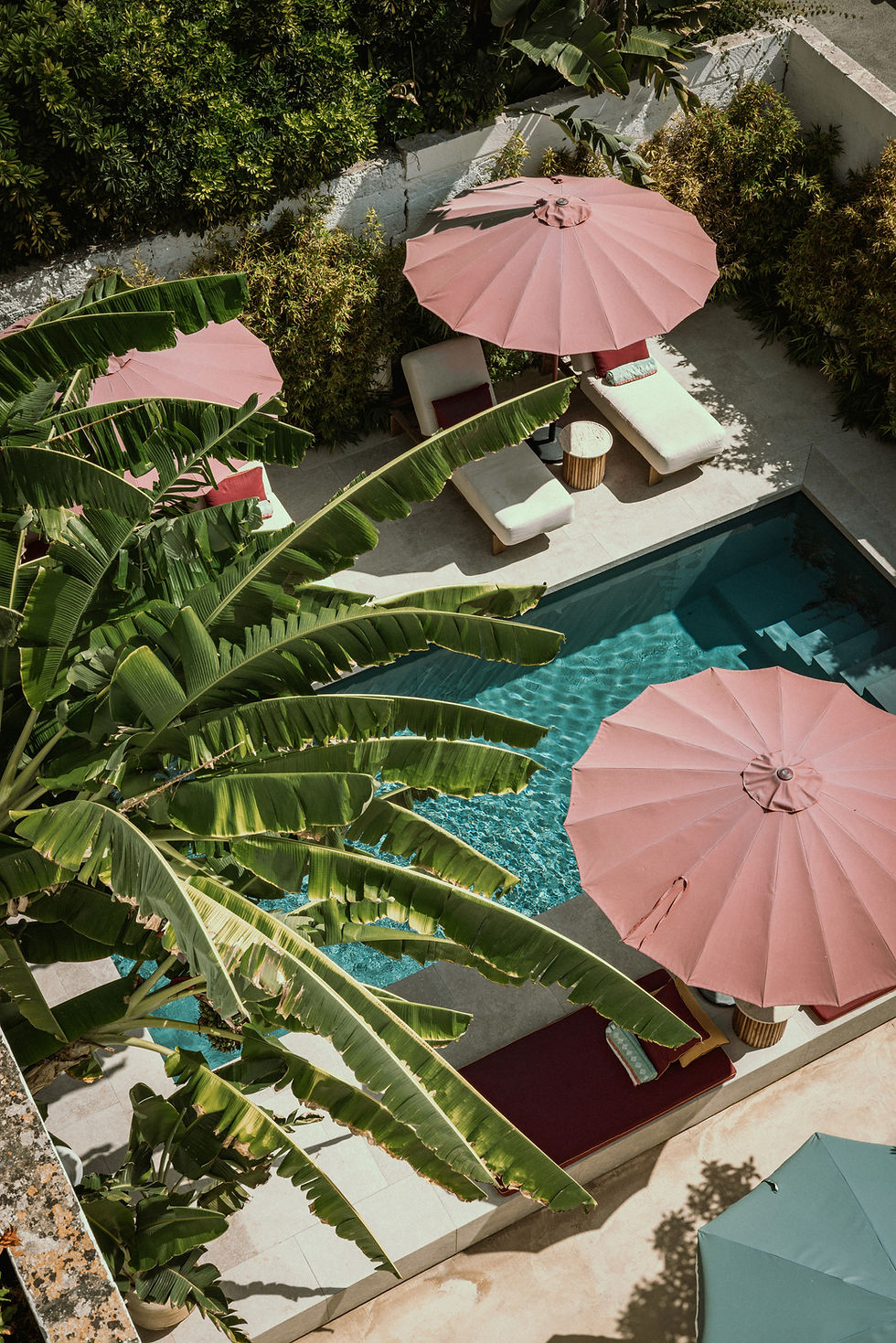 Giardino con piscina a Palazzo Piccinno