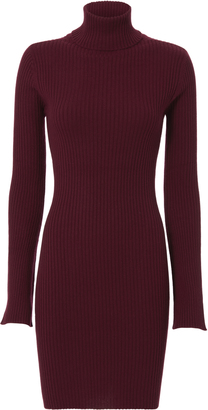 Autumn Cashmere Ribbed Turtleneck Dress
