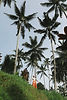 CC6A9214.jpg