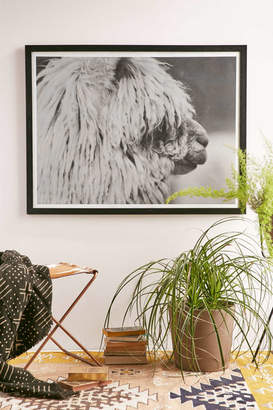 Amy Carroll Estella Art Print