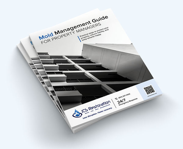 03-Free-US Letter-Magazine-Brochure-Mockup_edited.jpg