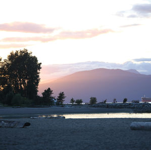 The Science of Healing: Why Choosing an Evidence-Based Therapist Matters