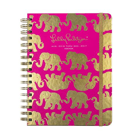 Large 17-Month Agenda