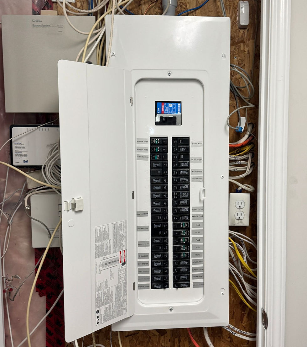 WhatsApp Image 2025-08-15 at 01.50.18_65919fe1.jpg