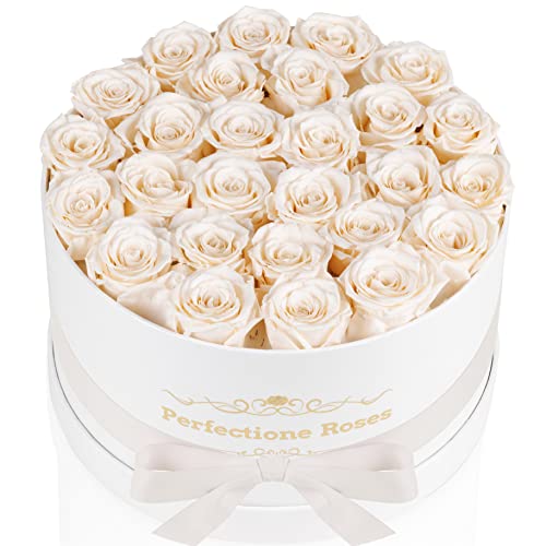 Perfectione Roses Forever Real Roses in a Box, Preserved Rose That Last Up to 3 Years, Flowers for Delivery Prime Birthday Valentines Day Gifts for Her, Mothers Day Flower (Buttermilk)