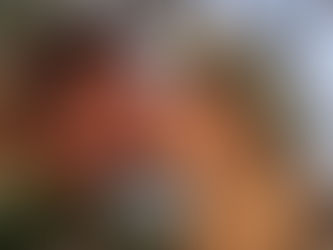 How I Met The Love of My Life on a Backpacking Trip to Costa Rica — and Now I’m Moving