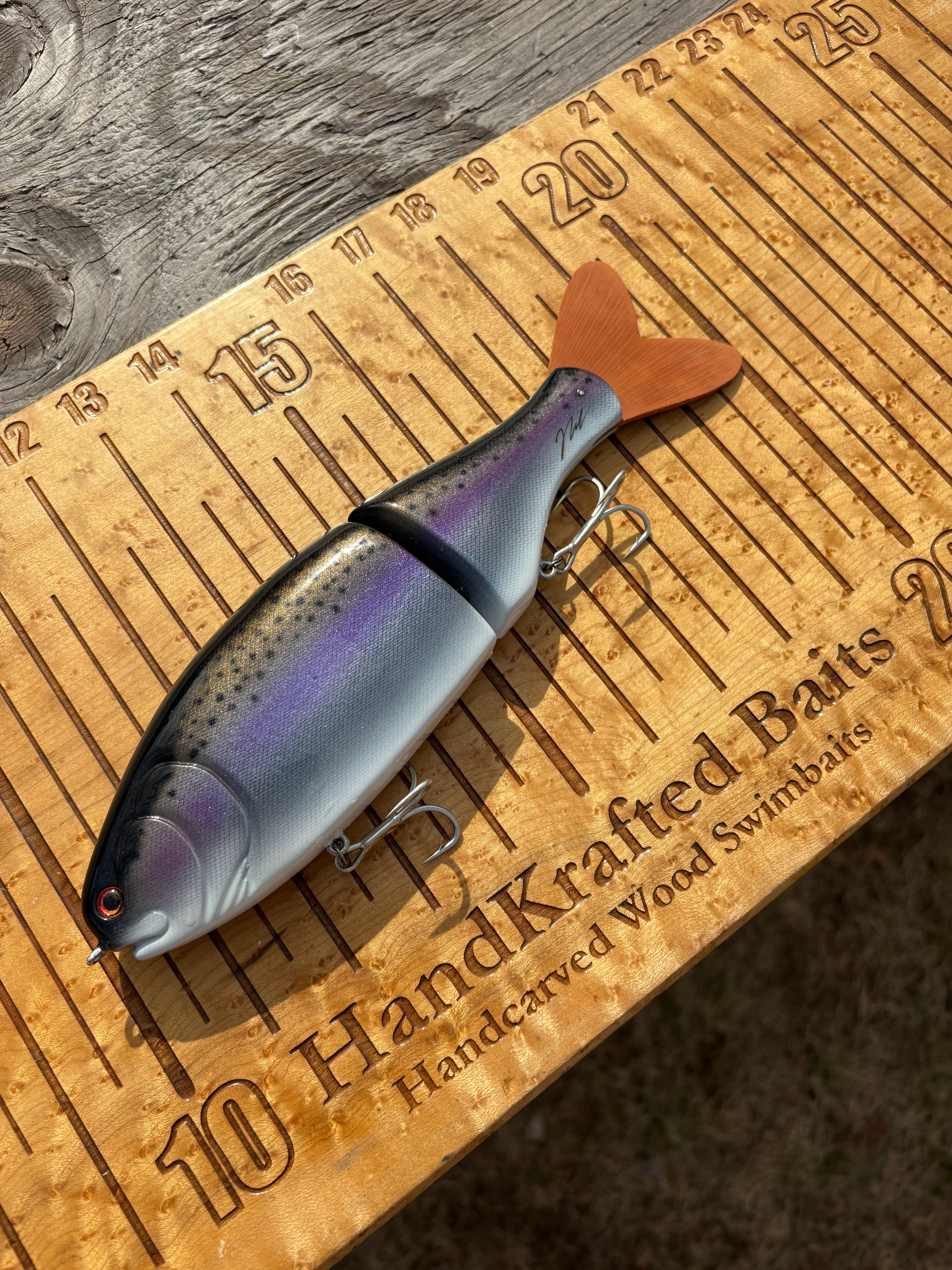 10” Rainbow Trout