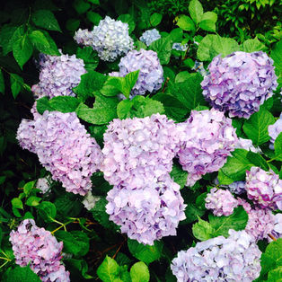 小さじはんぶん 001