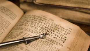 Jesus und die Zahl Vierzehn (14)