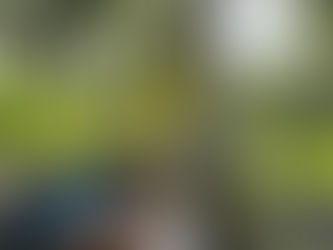 How Live Online Classes Improve Reading Fluency