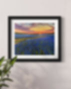 An oil painting of a field of bluebonnets in Texas by Luke Smith.