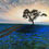 Thumbnail: Bluebonnet Sunrise Oil Painting by Luke Smith