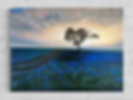 Thumbnail: Bluebonnet Sunrise Print by Luke Smith