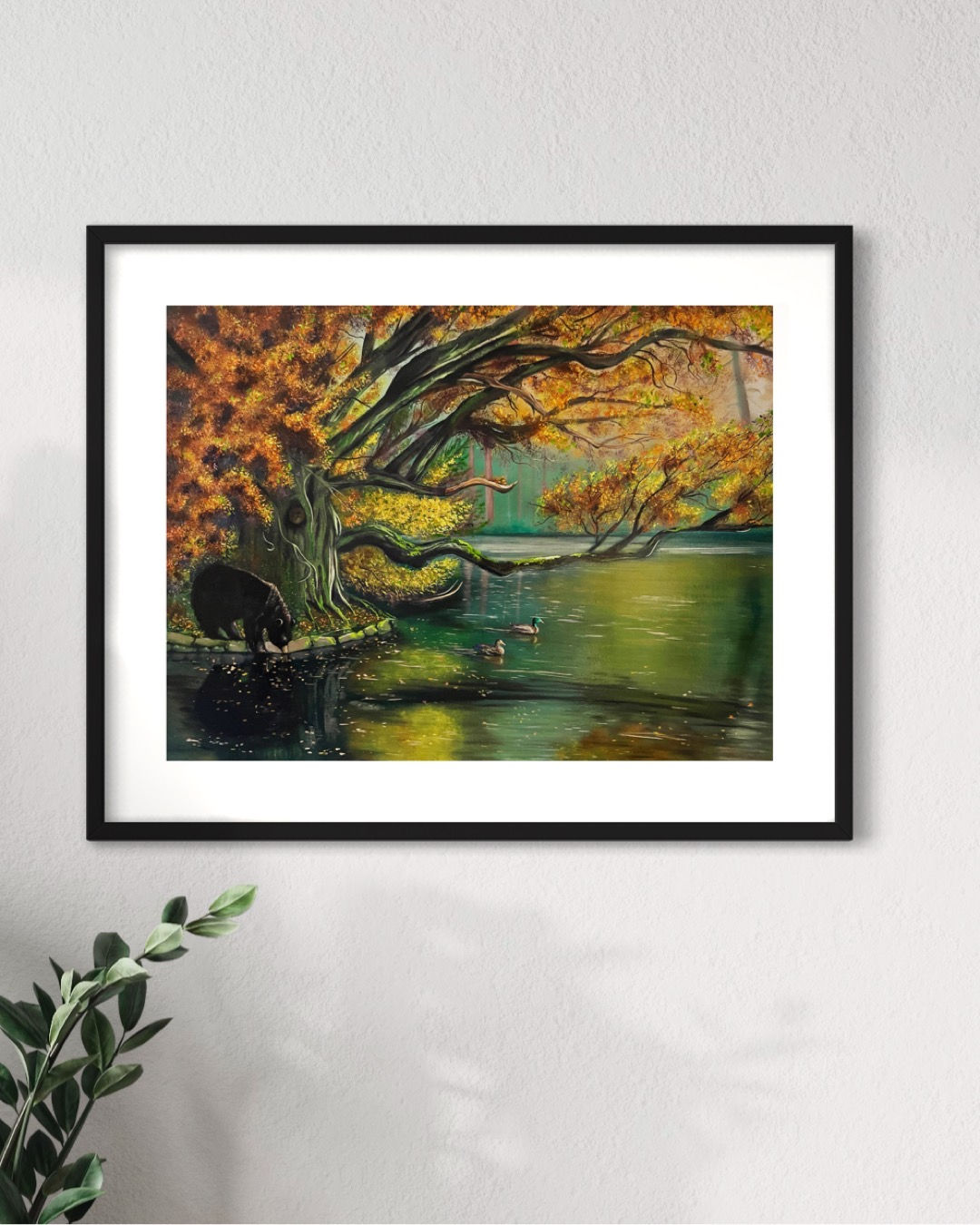 A bear wanders to a pond under a Texas live oak tree