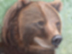 grizzly bear oil painting portrait by Luke Smith