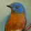 Thumbnail: Bluebird Print