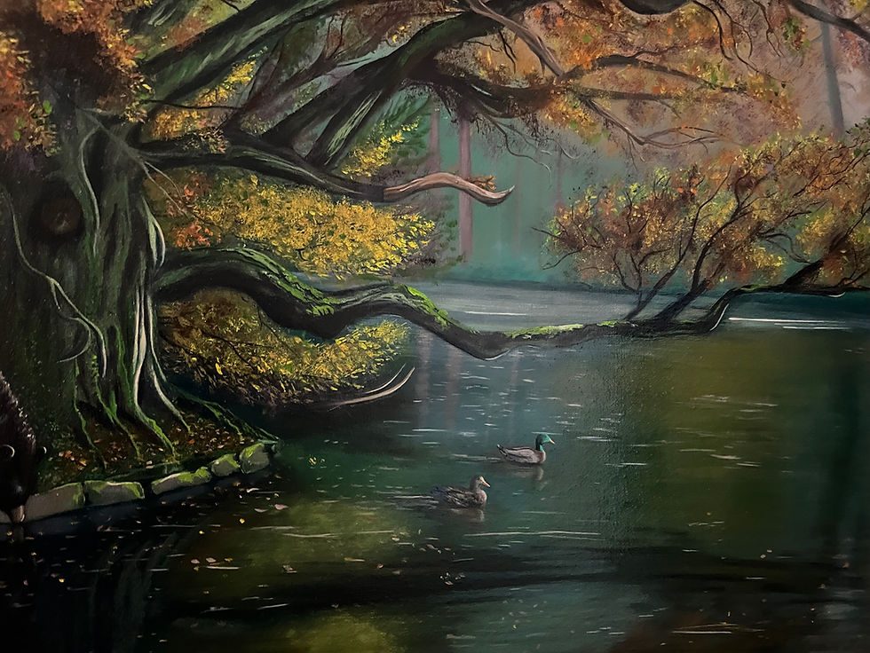 Thumbnail: A black bear wanders in front of a pond under a Texas live oak tree.