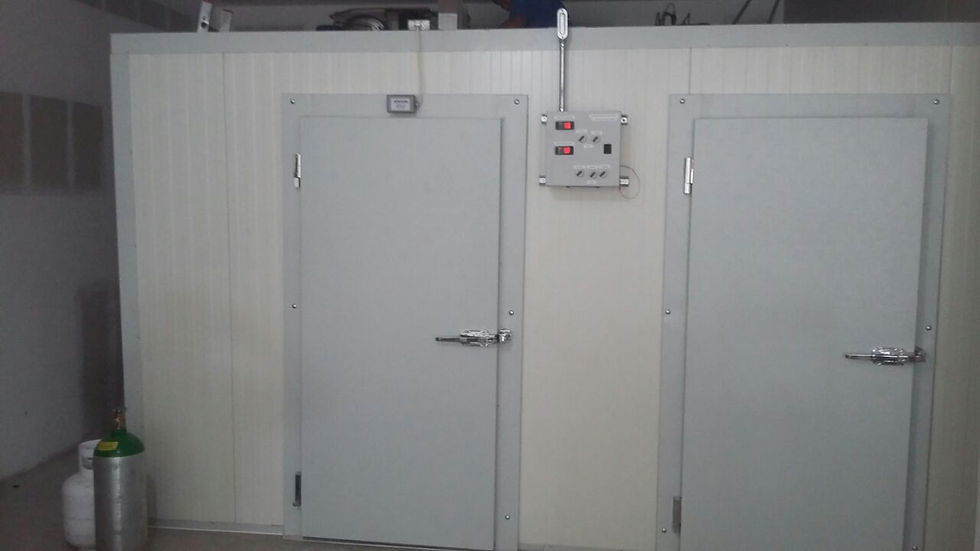 Miniatura: Cuarto Frío de Congelación