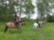 1037156-01.jpeg