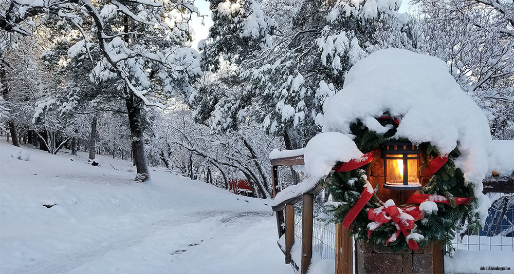 Winter Snow in Payson and Whispering Pines