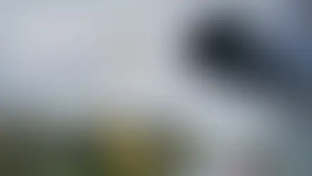 Axis Just Released an AI Report Your Security Team Should Read—Here’s Why We’re Paying Attention