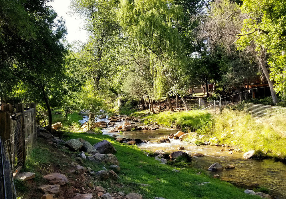 Fishing in Whispering Pines, Payson, Arizona