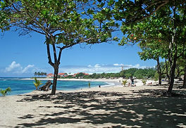 plage des raisins clairs proche d'une villa ti kaz princesse à Saint-François Guadeloupe