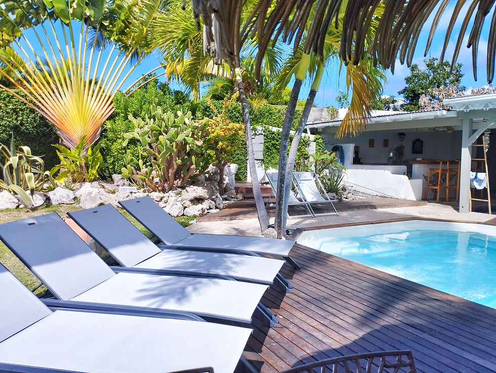 Jardin tropical piscine d’une villa de vacances avec piscine privée à Saint-François, Guadeloupe
