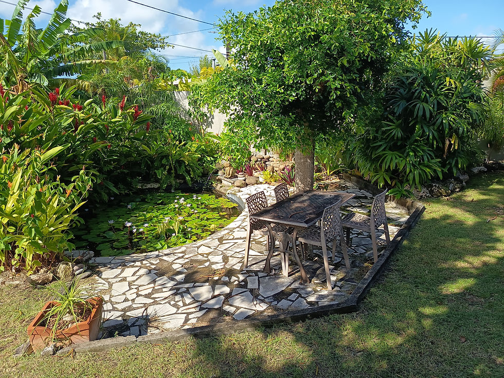Mare à poissons d’une villa de vacances avec piscine privée à Saint-François, Guadeloupe