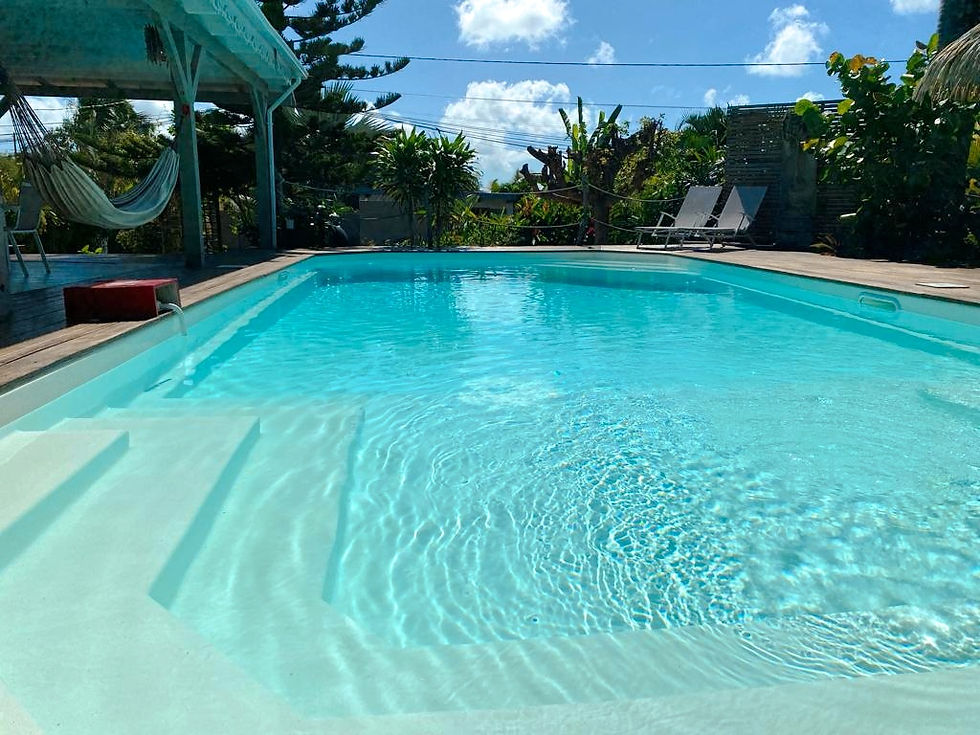 Jardin tropical piscine d’une villa de vacances avec piscine privée à Saint-François, Guadeloupe