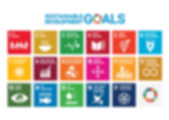 E SDG Poster 2019_without UN emblem_WEB.