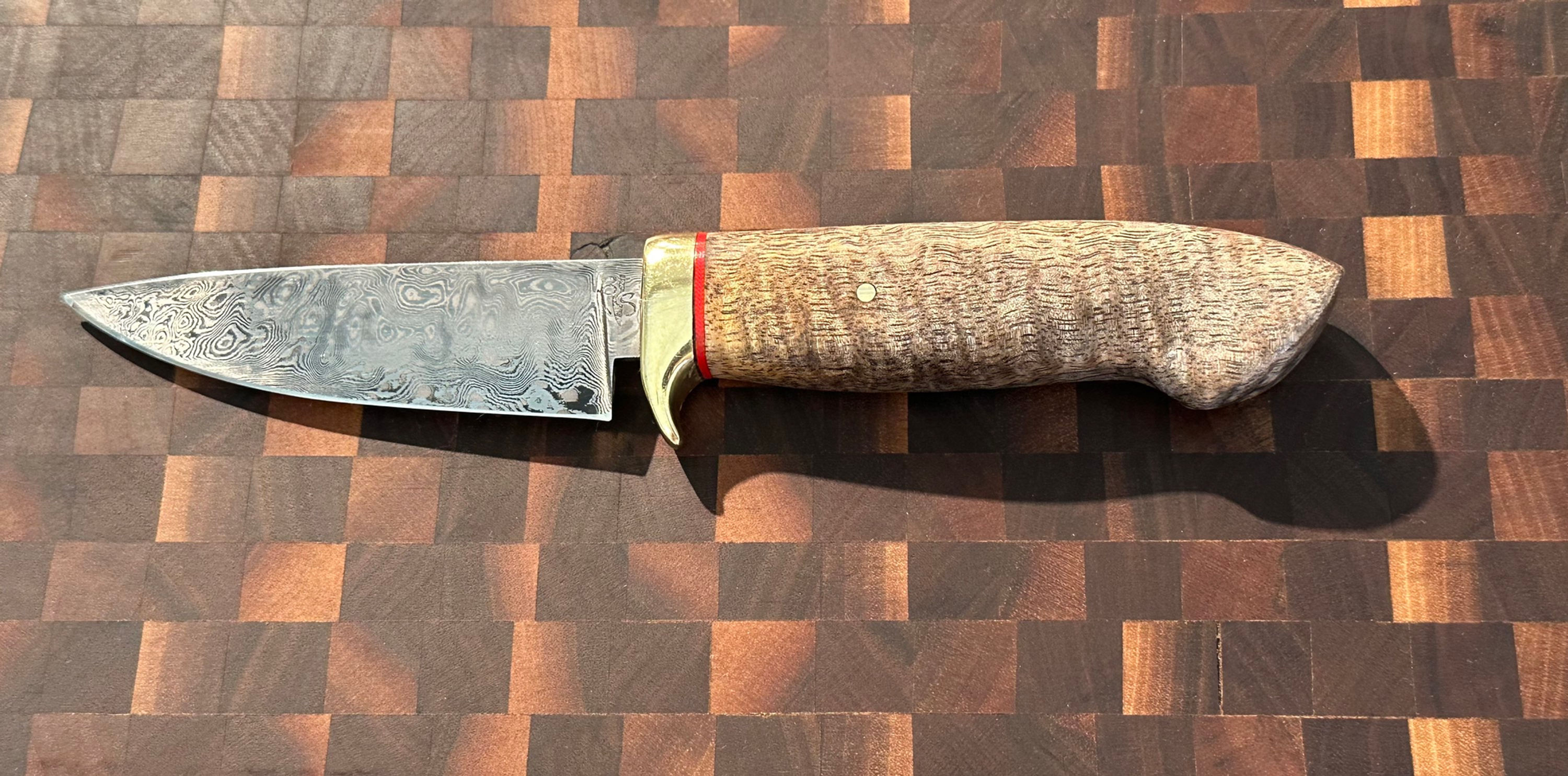 Curly Mango Damascus Hunter