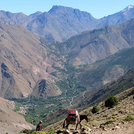 Yoga-Dôin & Randonnée dans l'Atlas