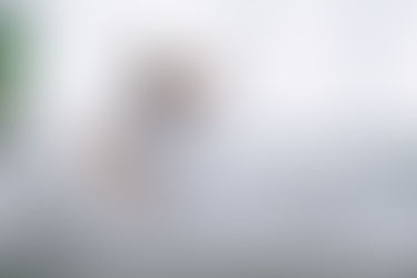 Herniated Disc Symptoms - Oren Zarif