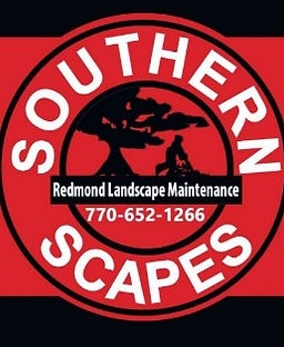 truck%25252520banner%252525201_edited_ed