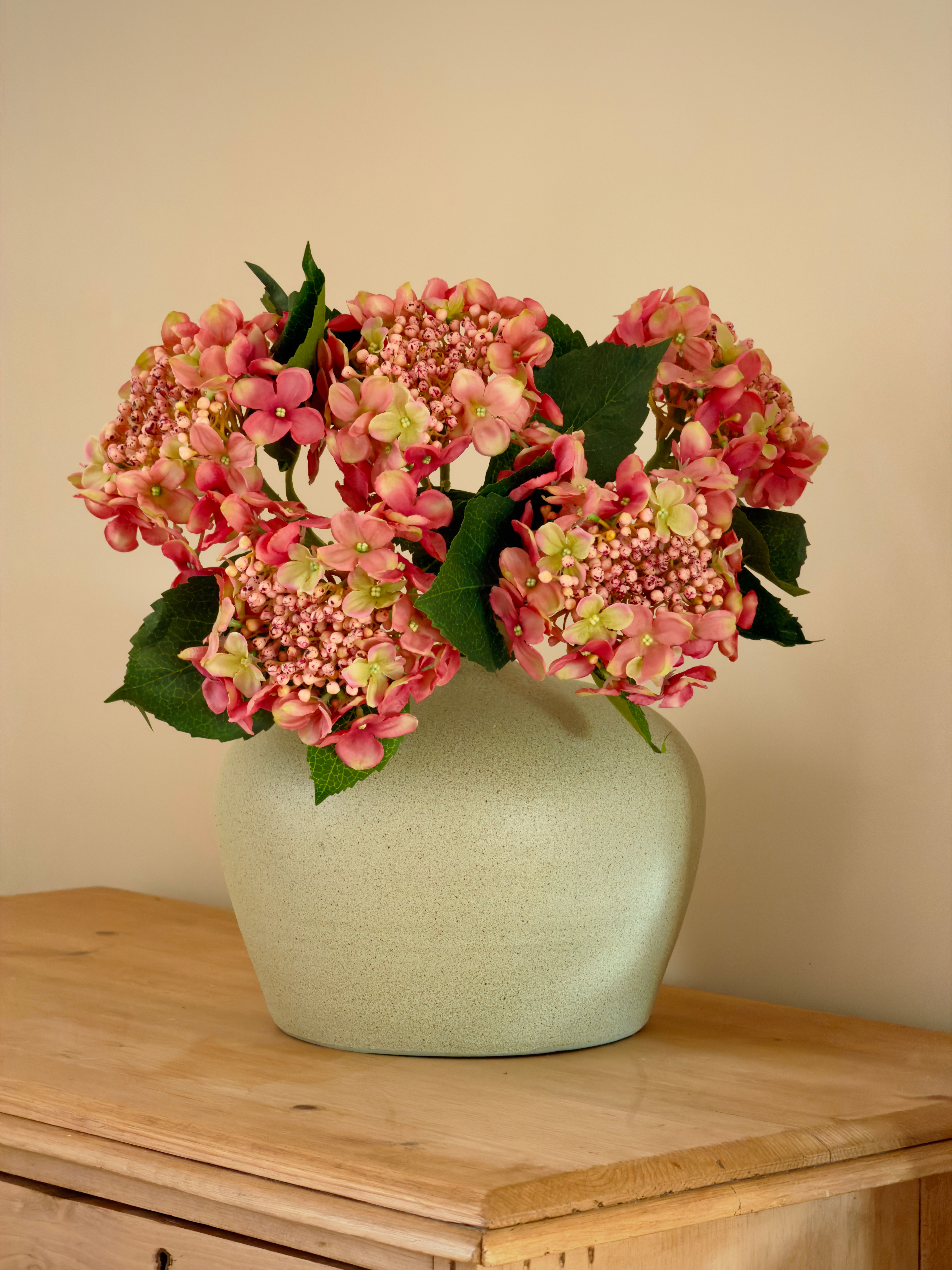 Dusky pink hydrangea 