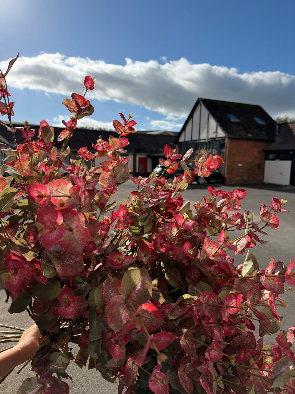 Thumbnail: Wood Spurge Spray