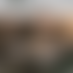 Sea Otters Boost Seagrass Recovery in Polluted Waters