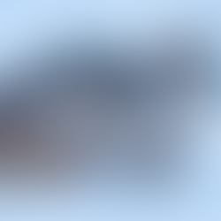 Iberian Lynx Makes Rare Comeback, Moves Off Endangered List