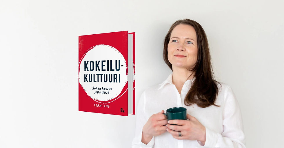 Terhi Aho Kokeilukulttuuri