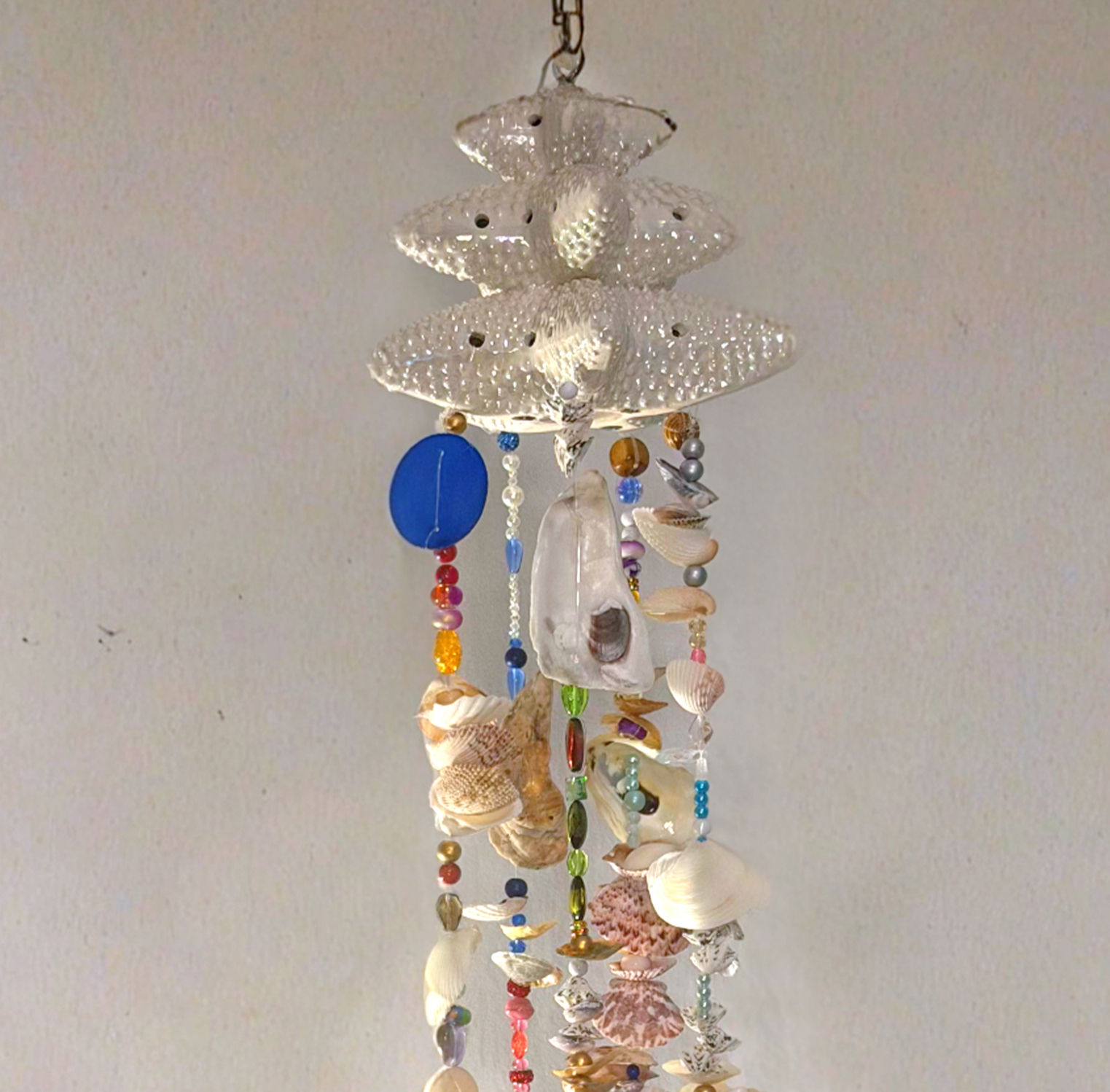 Natal - The Coastal Serenity Seashell – Holiday Edition