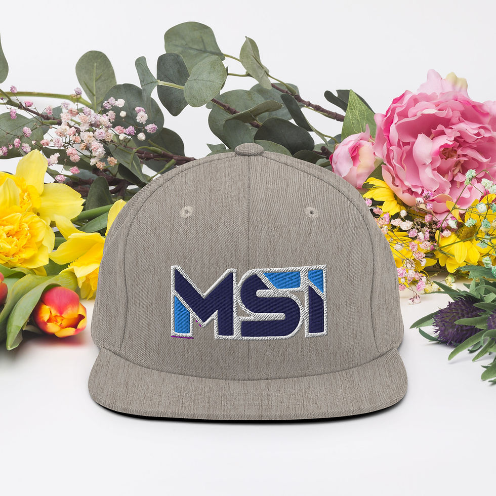 Thumbnail: MSI - Snapback Hats