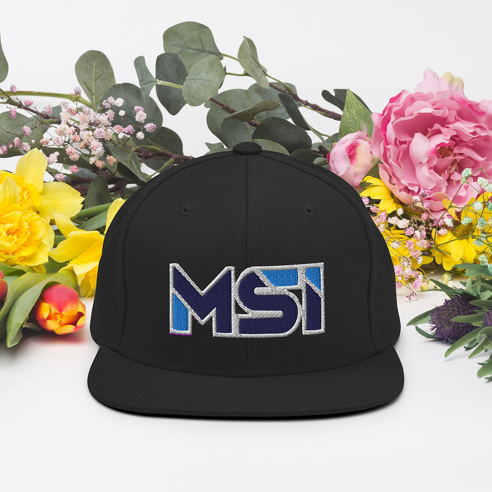 Thumbnail: MSI Snapback Hat