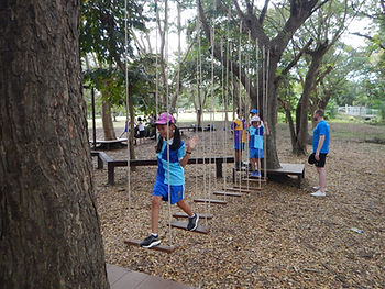 Jungle Gym Low Ropes Course - #4 Plank Ladder
