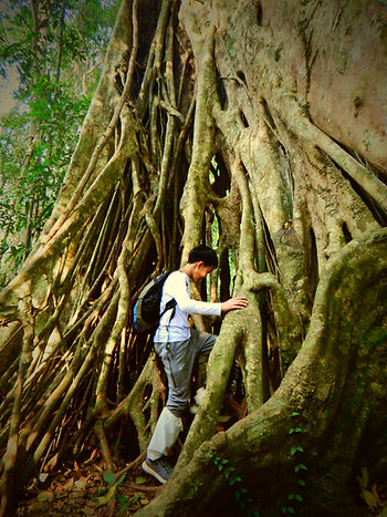 Exploring the Khao Yai Rainforest