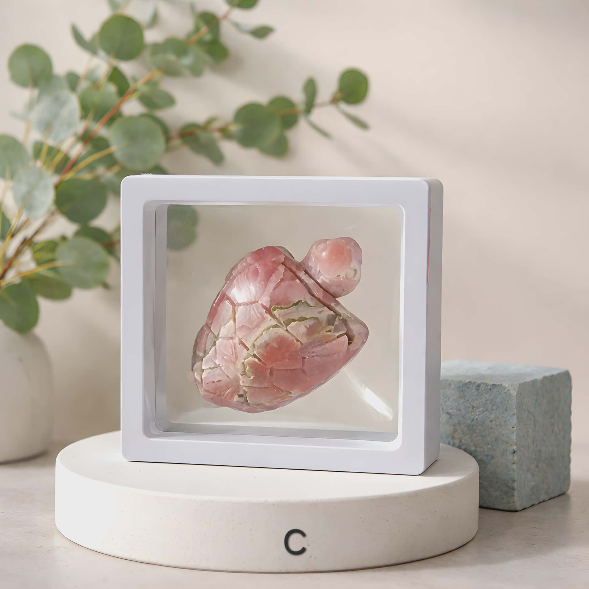 Rhodochrosite Turtle (C)