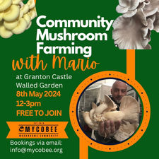 1st Community Mushrooms Farming of 2024 at GCWG-08.05.2024