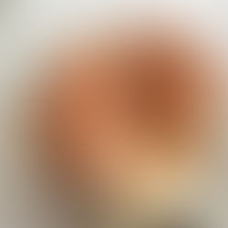 Salmon Coral (Ramaria formosa) Mycobee Library No. 398