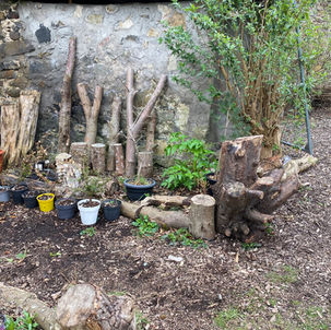 09.04.2025 Community Mushroom Farming with Mario