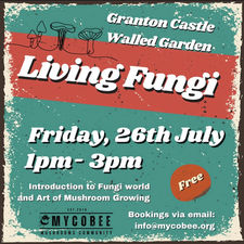 Living Fungi at Granton Castle Walled Garden
